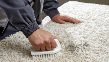 Professional Rug Cleaning Kings Park