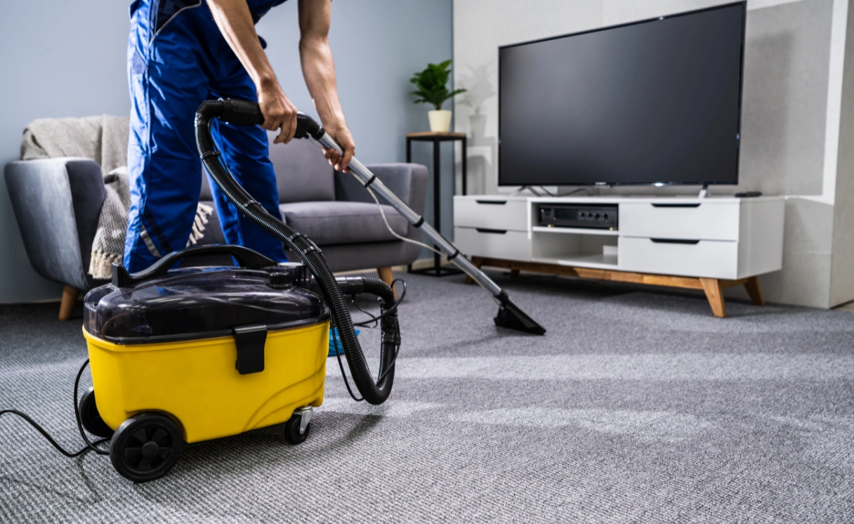 Extract Rug Cleaning Kings Park Contact Office